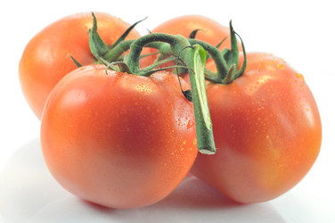 Similar image 1593347