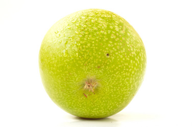 Similar image 1593352