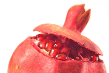 Similar image 1593364