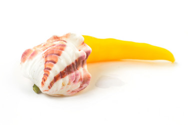 Similar image 1593369