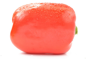 Similar image 1593375