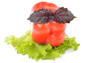 Similar image 1593378