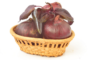 Similar image 1593383