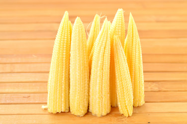 Similar image 1593401