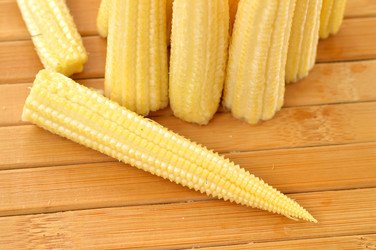 Similar image 1593402