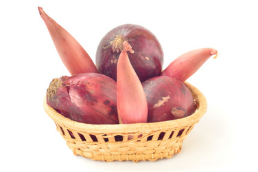 Similar image 1593405