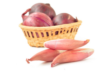 Similar image 1593407