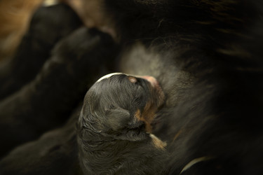 Similar image 1593416