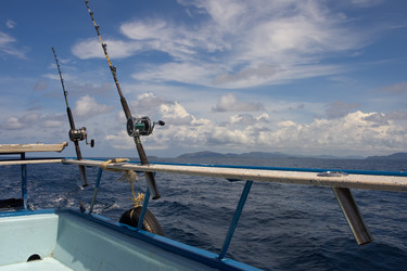 Similar image 1593426