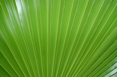 Similar image 1593446