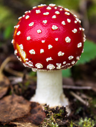 Similar image 1593448