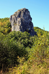 Similar image 1593459