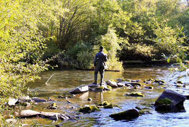 Similar image 1593462