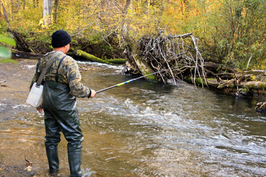 Similar image 1593468