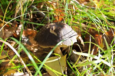 Similar image 1593470