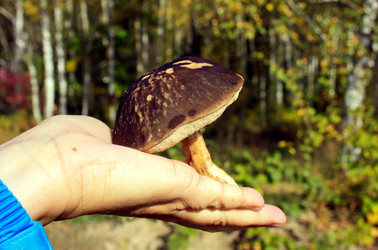 Similar image 1593472