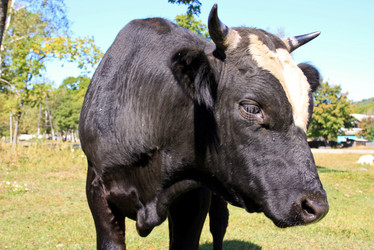 Similar image 1593475