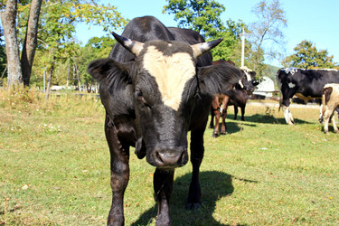 Similar image 1593476