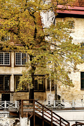 Similar image 1593493