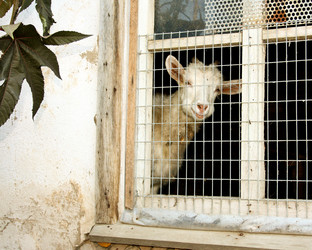 Similar image 1593568