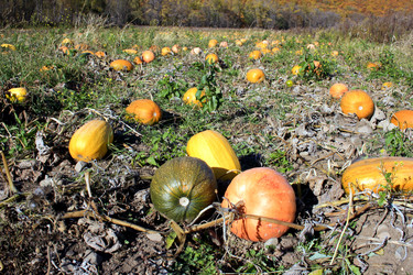 Similar image 1593645