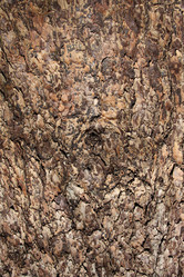 Similar image 1593697