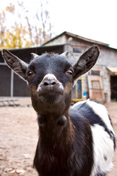 Similar image 1593953