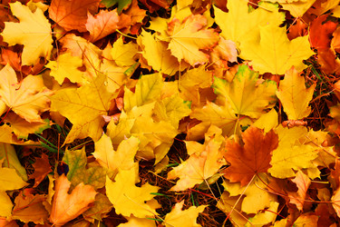 Similar image 1593963