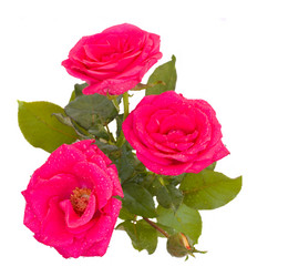 Similar image 1594013