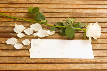 Similar image 1594014