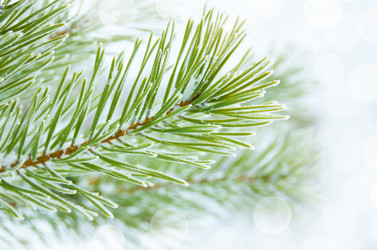 Similar image 1594035