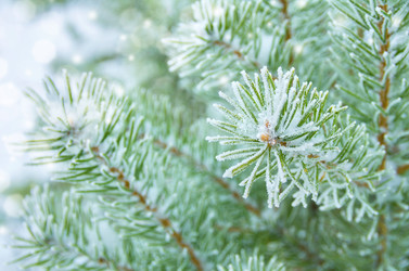 Similar image 1594036