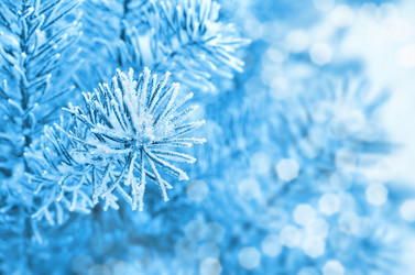 Similar image 1594038