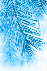 Similar image 1594039