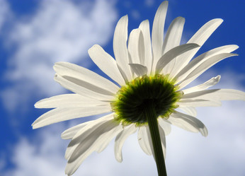 Similar image 1594041