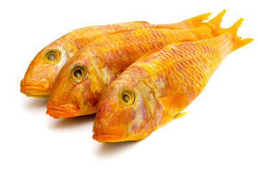 Similar image 1594047