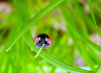 Similar image 1594081