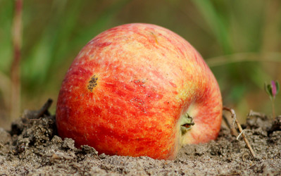 Similar image 1594082