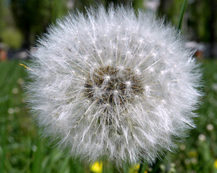 Similar image 1594083