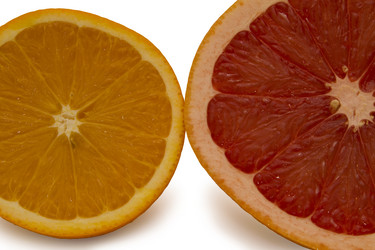 Similar image 1594137