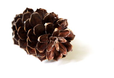 Similar image 1594147