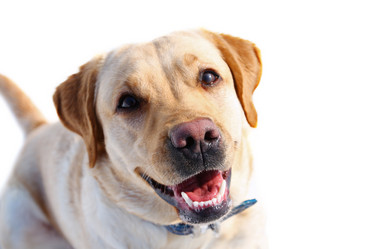 Similar image 1594148