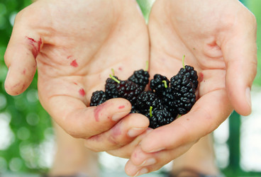 Similar image 1594151