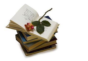 Similar image 1594152