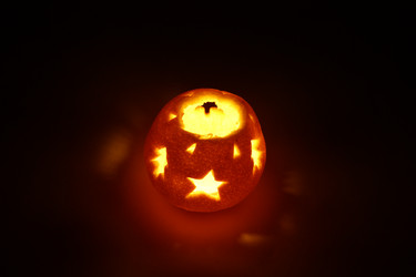 Similar image 1594181