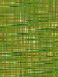 Similar image 1594233