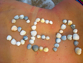 Similar image 1594239