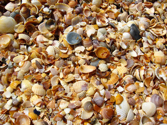 Similar image 1594240