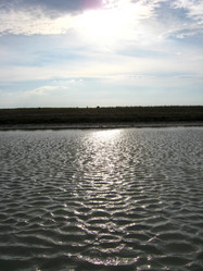 Similar image 1594241