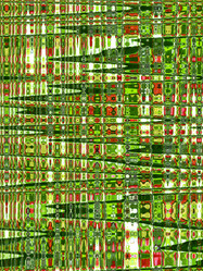 Similar image 1594243